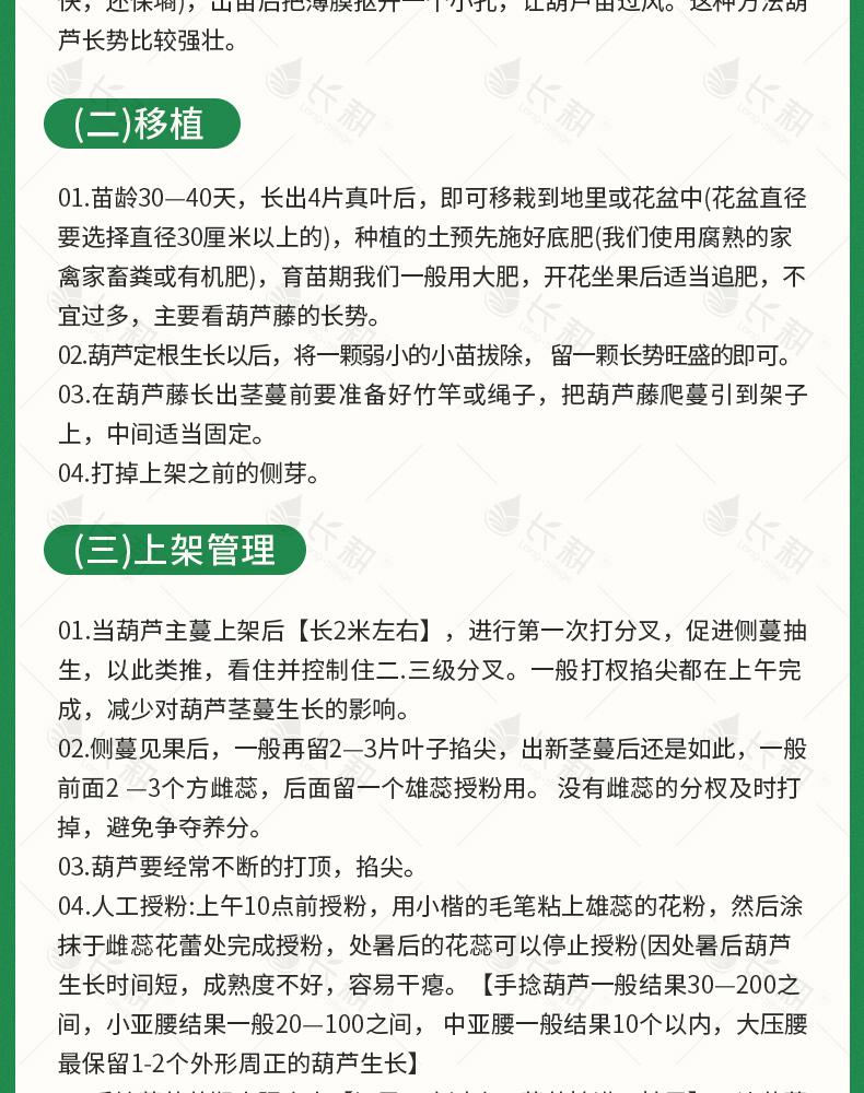 葫芦种子详情图11.jpg