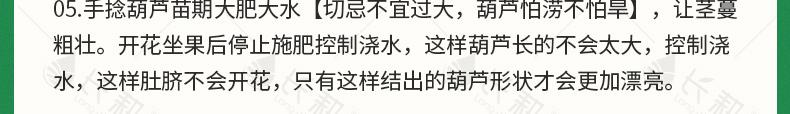 葫芦种子详情图12.jpg